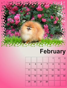 calendar-february-resized-for-upload