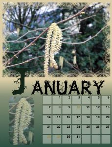 calendar-01-januarbig
