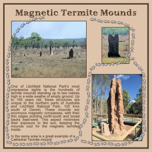magnetic-termite-mounds