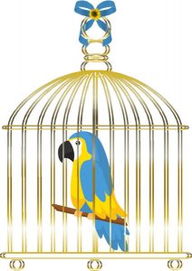 parrot-cage-2
