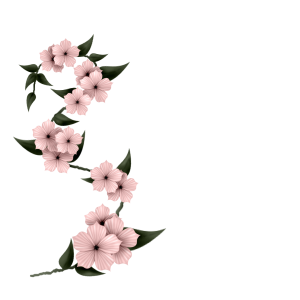 sgh-pink-floral-spray-29-05-2018