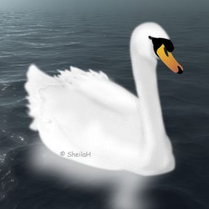 the-swan-sgh-03-05-2018-2