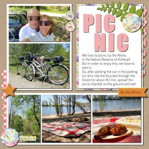 theme-201805may-picnic-600forum