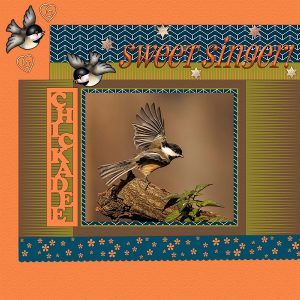 chickadee-sweet-singer