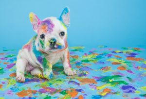 puppy-painted