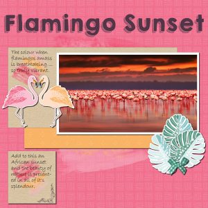 flamingo-sunset-resized