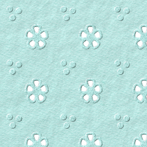 eyelet-fabric-dlm-sm