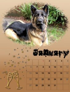 2019-dog-calendar-01_share-2