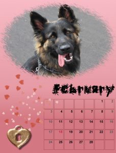 2019-dog-calendar-02_share-2