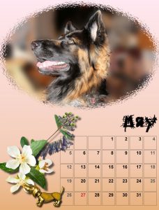 2019-dog-calendar-05_share