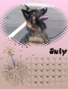 2019-dog-calendar-07_share