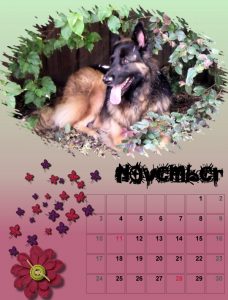 2019-dog-calendar-11_share