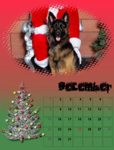 2019-dog-calendar-12_share