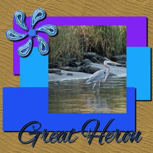 great-heron-600-2