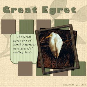 egret-scrapbook-600-7