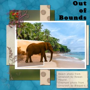 out-of-bounds-elephant