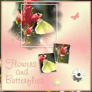 day-1-flowers-and-butterflies