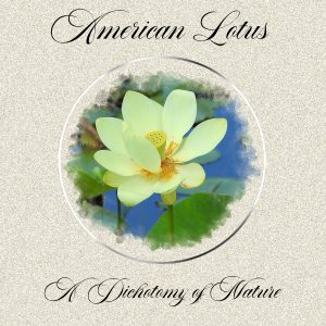day-4-american-lotus