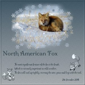 day-5-north-america-fox