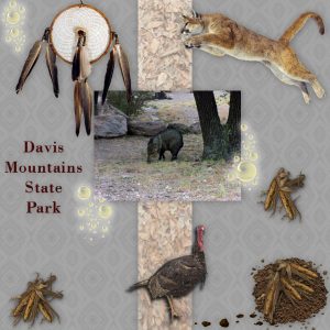 day-3-davis-mountains-state-park-600