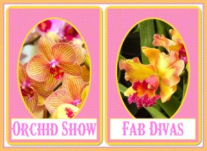 fab-dl-orchid-show-2