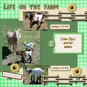 eclair-life-on-the-farm_600