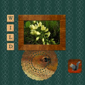 day-5-doily-with-lizard-image