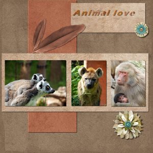 animal-love-600