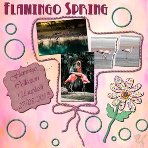 flamingospring-600