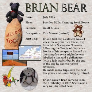 brian-bear