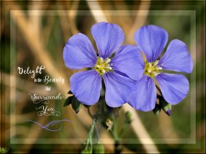 flax-adjustment-layers-background-paper
