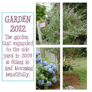 my-garden-2012-pg7-600