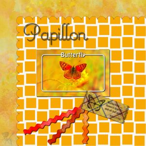 papillon-600-2