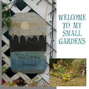 welcome-to-my-small-gardens-600