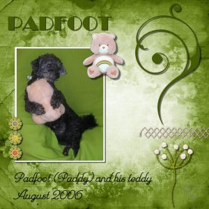 padfoot-600