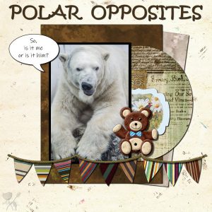 polar-opposites-600