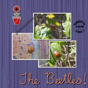 the-beetles-600