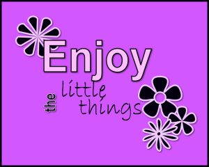 enjoy-the-little-things-reduced-4
