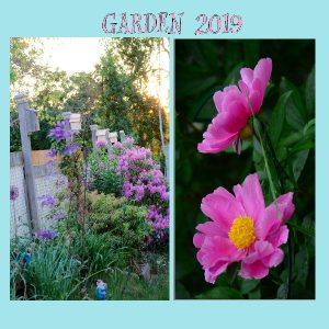 my-garden-2019-final-pg-8-600