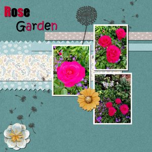 rose-garden-600x600
