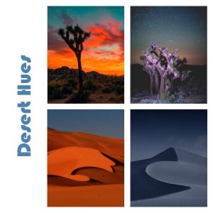 desert-hues-600