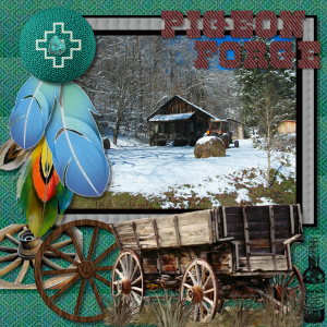 pigeon-forge