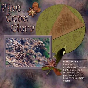 pine-cone-glory-600