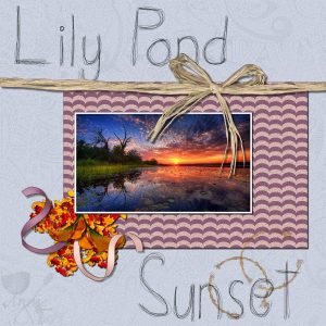 lily-pond-sunset-600