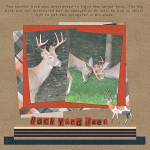 backyard-deer-600