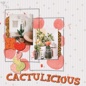 cactulicious-resized