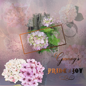granny-pride-joy-3