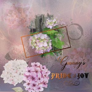 granny-pride-joy