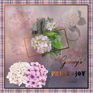 granny-pride-joy-framed-reducedjpg