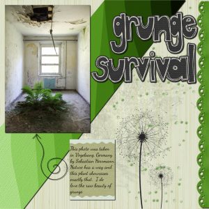 grunge-survival-resized